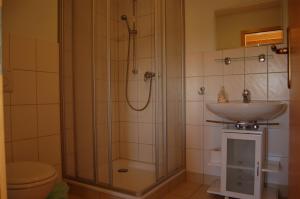 a bathroom with a shower and a sink at Heu-Ferienhof Altkamp in Putbus +47 photos