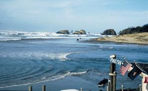 a beach with an american flag and the ocean at Webb's Scenic Surf in Cannon Beach