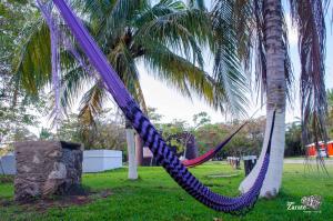 Zahrada ubytování ECO-CABAÑAS Cancún