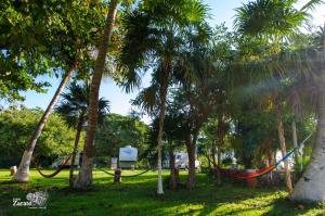 Zahrada ubytování ECO-CABAÑAS Cancún