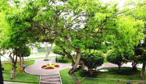 un parque con un gran árbol y una fuente en Roma, en Lima