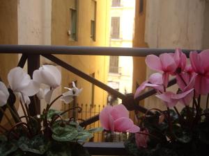 Fotografia z galérie ubytovania Apartamento Alcazaba v destinácii Málaga