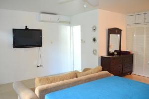 a living room with a couch and a tv on the wall at One Love Cozy Studio Seawind On The Bay in Montego Bay