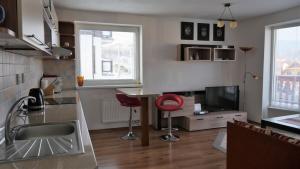 Kuchyň nebo kuchyňský kout v ubytování Apartman Nová Lesna + 13 fotografií