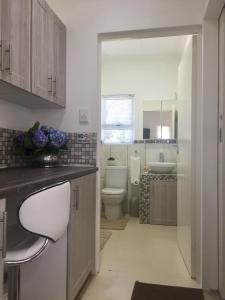 豪威克的住宿－Aloe Croft，浴室设有卫生间、水槽和卫生间。