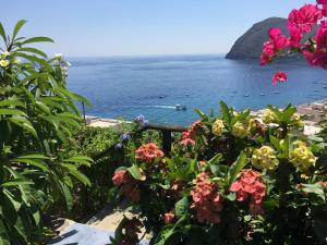 vistas al océano desde un jardín con flores en Villa Vista Mare Mela, en Lipari