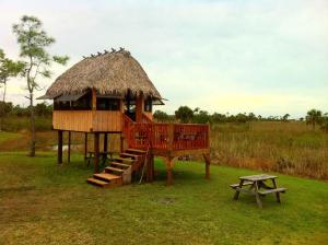 a tree house with a staircase and a picnic table at Everglades Chickee Cottage & Bungalow - Ochopee in Ochopee