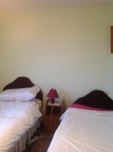 dos camas sentadas una al lado de la otra en una habitación en Hill View B&B, en Silvermines