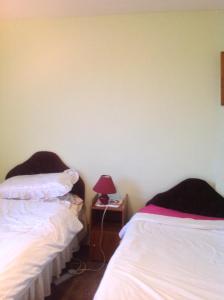 dos camas sentadas una al lado de la otra en una habitación en Hill View B&B, en Silvermines