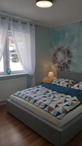 シュクラルスカ・ポレンバにあるApartament Juzoのベッドルーム(ベッド1台、窓付)