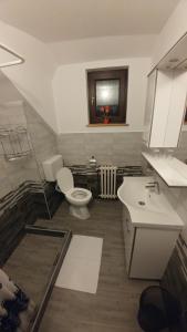 uma casa de banho com um WC e um lavatório em House Pavlic em Grabovac