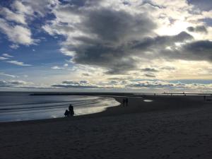 Příroda nedaleko apartmánu + 4 fotografie