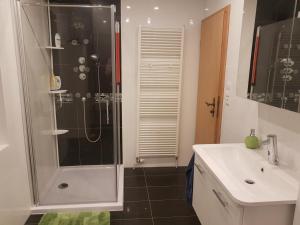 uma casa de banho com um chuveiro e um lavatório. em 5 minutes from the fair em Hanôver