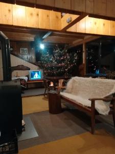 DejaniにあるAlpinlifeのリビングルーム(クリスマスツリー、ソファ付)