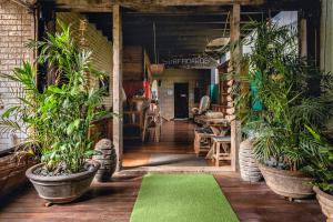 a living room filled with furniture and plants at Albany Bali Style Accommodation in Albany