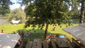 Zahrada ubytování Holiday resort Bela krajina - Glamping and Mobile Homes
