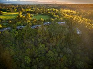 an aerial view of a house in the forest at Tsala Treetop Lodge in Plettenberg Bay
