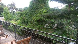 a balcony with two wooden benches and trees at Bright Star Hotel in Arusha
