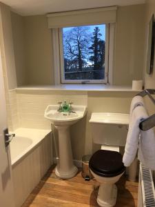a bathroom with a sink and a toilet and a window at Garden Cottage in Carsluith