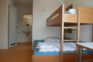 テュービンゲンにあるJugendherberge Tübingenのベッドルーム(二段ベッド1組付)、バスルームが備わります。
