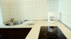 uma cozinha com um lavatório e um fogão forno superior em Kamienica Zacisze em Gdansk