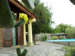 einen Kaktus vor einem Haus mit Pool in der Unterkunft Parador La Rosita in San Agustín de Valle Fértil