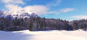 Příroda nedaleko apartmánu + 66 fotografií