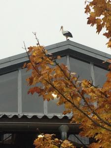 Fotografie z fotogalerie ubytování Flyingehus Gårdshotell v destinaci Flyinge