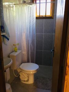 a bathroom with a toilet and a shower at Casa Santos Dumont in Gramado
