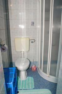 een kleine badkamer met een toilet en een douche bij Apartmani Arijana Medulin in Medulin