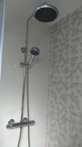 アヴェイロにあるAveiro Rossio Apartmentsのバスルーム(シャワー、シャワーヘッド付)が備わります。