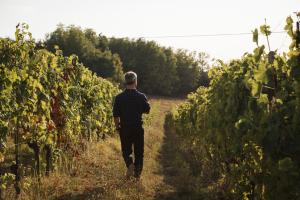 Gjester på Vigna Rocchetta