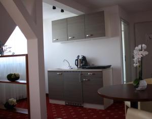 Kuchyň nebo kuchyňský kout v ubytování Hotel Berlin