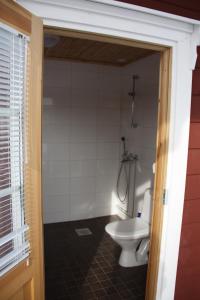 a bathroom with a toilet and a shower at Purolomat in Merikarvia