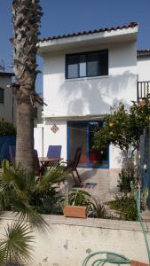 a house with a palm tree in front of it at Il Mare in Larnaca