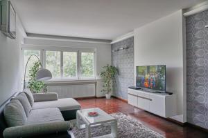 Alpha Residence في بودابست: غرفة معيشة مع أريكة وتلفزيون