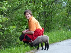 Młody chłopiec klęczący obok owieczki na drodze w obiekcie Ferien-am-Bauernhof-Wohnung-2 w mieście Rangersdorf
