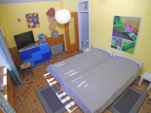 Casa Baciocca App 1159 في Orselina: غرفة نوم بسرير كبير وتلفزيون