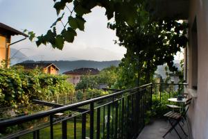 Táj az apartman közelében