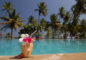 a drink in a coconut shell sitting next to a swimming pool at Kaskazi Beach house in Msambweni