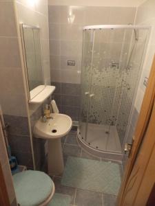 スフントゥ・ゲオルゲにあるMorning Starのバスルーム(シャワー、トイレ、シンク付)