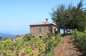 an old stone house on top of a hill at Podere Soccorso in Montalcino