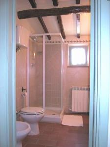un bagno con doccia, WC e lavandino di Podere Soccorso a Montalcino