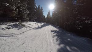 Skihütte v zime