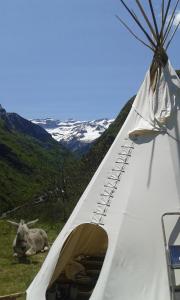 une chèvre allongée dans l'herbe à côté d'une tente dans l'établissement Tipis nature, à Gavarnie