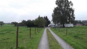 een onverharde weg in het midden van een veld bij Ferme du Pont de Bois - Le Fenil in Thuin