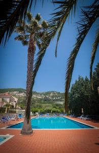 a palm tree in front of a swimming pool at Campeggio Pian Dei Boschi in Pietra Ligure