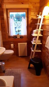 a bathroom with a toilet and a ladder in a room at Ferienhaus Berg.erleben in Hilders