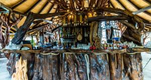 Lounge nebo bar v ubytování Castelul de Vis