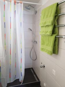 a bathroom with a shower curtain and green towels at Ferienwohnung Alpenblick in Davos